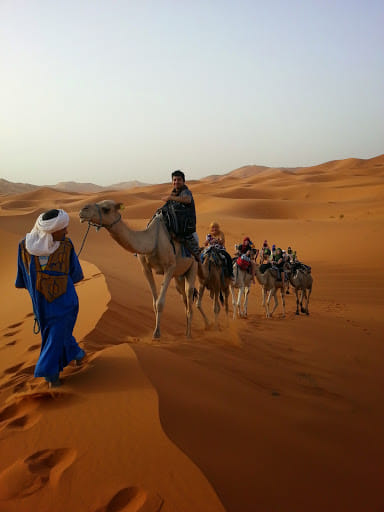 camel trek