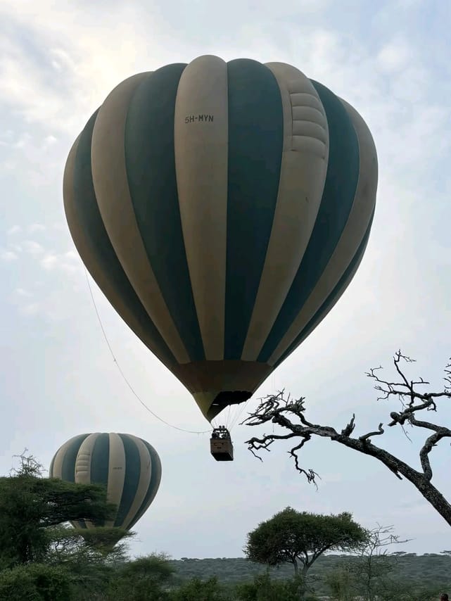 4-Day Tanzania Group Safari Tarangire, Serengeti & Ngorongoro Crater – The Ultimate Shared Safari Adventure 5