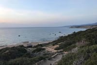 Lara Bay - Turtle Bay