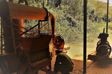 Day Tour Giraffe Center, Karen blixen and Lunch at Carnivore