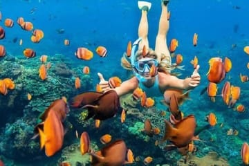 Snorkeling Adventure in Ras Mohammed National Park, Sharm El Sheikh