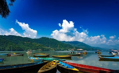Pokhara, Dhampus Village, and Chitwan National Park Tour