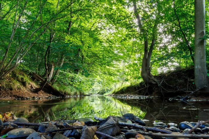 Denmark Nature — Custom Route (Private Experience) 8