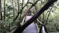Doi Inthanon National Park Private Tour 6