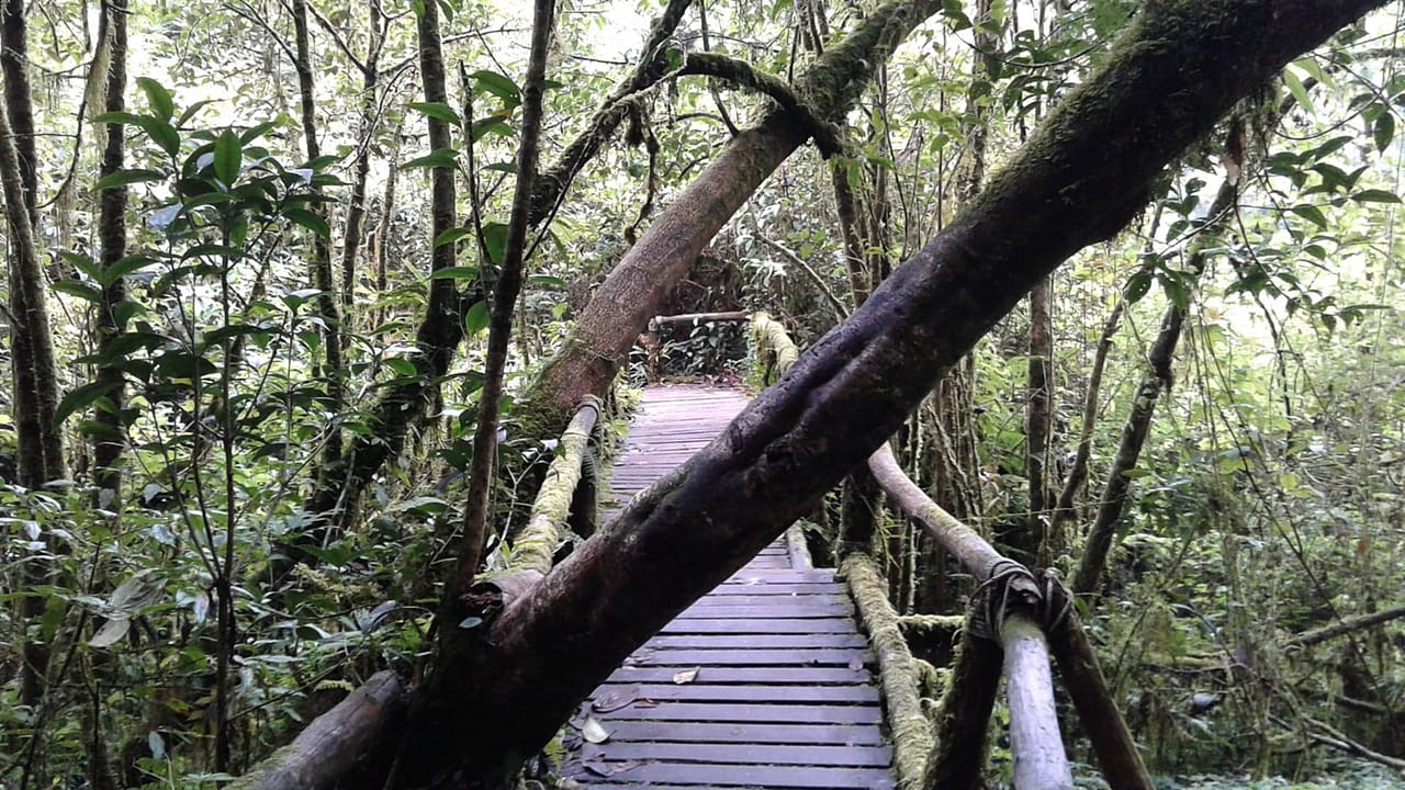 Doi Inthanon National Park Private Tour 6