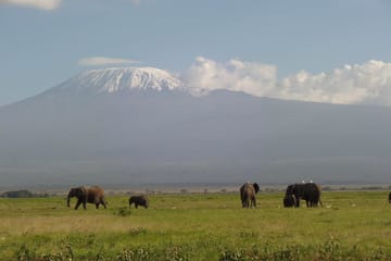 Luxury Fly-In Safari Adventure in Amboseli National Park
