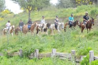 Kusadasi: Horse Riding Beach and Forest options with Transfer 4