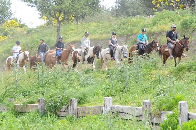 Kusadasi: Horse Riding Beach and Forest options with Transfer photo 4