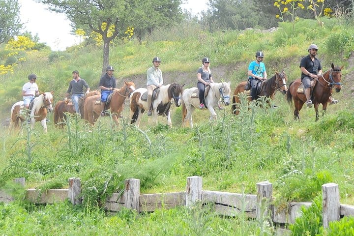 Kusadasi: Horse Riding Beach and Forest options with Transfer 4