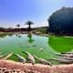 From Marrakech to the Coast: Agadir Day Trip Experience