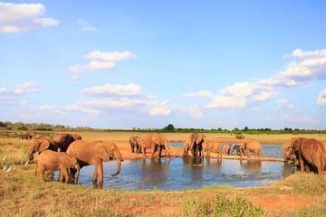 3-Day Tsavo East Safari Adventure from Mombasa