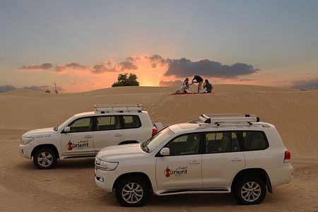 Arabian Sunrise Safari: Dune Adventure & Wildlife Experience