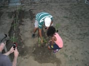 Visit the Farm - Enjoy Animals and Nature in Mykonos 2