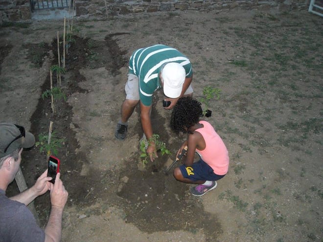 Visit the Farm - Enjoy Animals and Nature in Mykonos 2