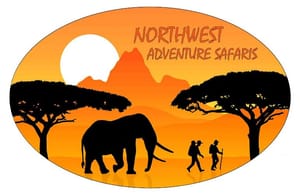 Northwest Adventure Safaris