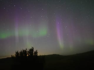 Northern Lights w/Aurora Viking - free pro photos - unlimited retries – minibus, photo 9
