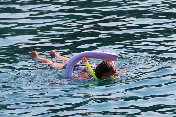 Key West: Snorkel Safari Tour