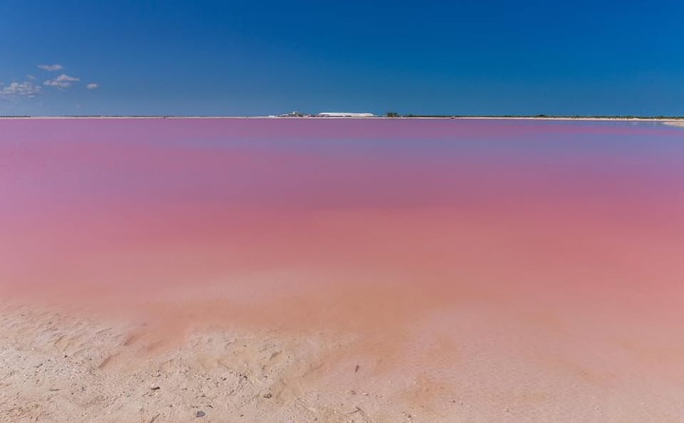 Chichen Itza and Cenote Ik-Kil Private Tour with Rio Lagartos and Las Coloradas