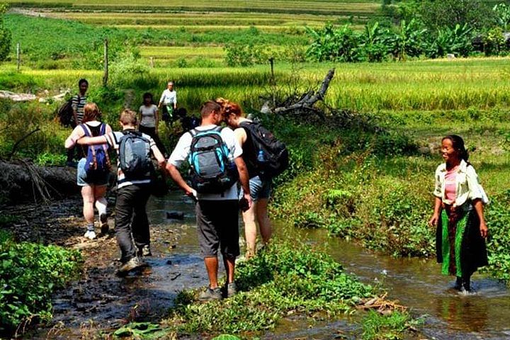 Trekking Adventure in Ba Be National Park: Explore Ethnic Villages & Nature