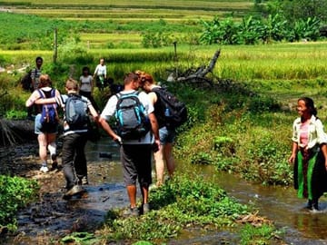 Trekking