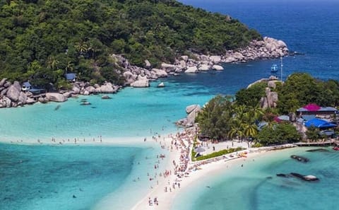 From Samui: Ko Tao and Koh Nang Yuan Speedboat Day Trip