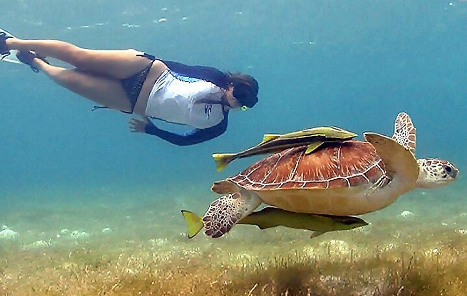 Tulum Ruins and Snorkeling with Sea Turtles Tour