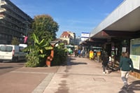 Évian-les-Bains Private Walking Tour With A Professional Guide 7