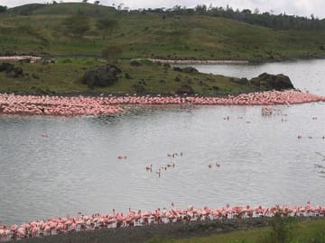 Arusha National Park Day Tour: Walking Safari and Canoeing