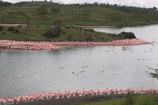 Arusha National Park Day Tour with Walking Safari & Canoeing  2