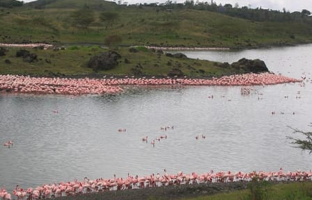 Arusha National Park Day Tour: Walking Safari and Canoeing