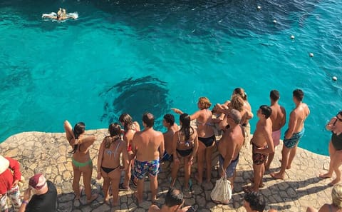 Negril Beach Snorkeling and Boat Ride with Bob Marley Museum Visit