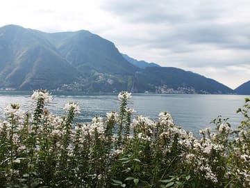 Explore Lugano: Renaissance Masterpieces & Lakeside Serenity