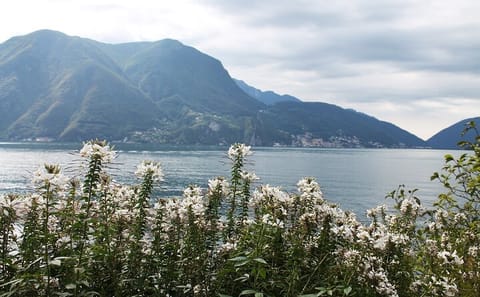 Private Walking Tour of Renaissance Art in Lugano