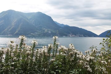Private Walking Tour of Renaissance Art in Lugano