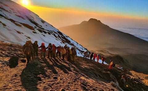 7-Day Guided Trek on Kilimanjaro's Shira Route from Moshi