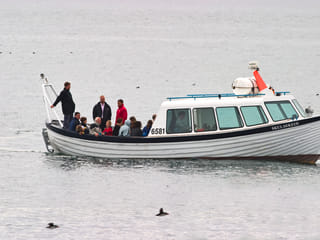 Whales & Puffins, photo 8