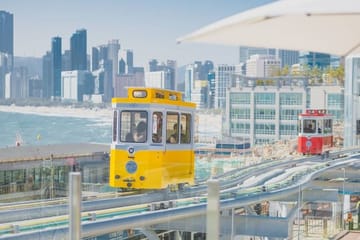Private Busan Tour – Explore Landmarks with a Licensed Guide