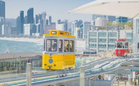 Private Busan City Tour with Licensed Local Guide