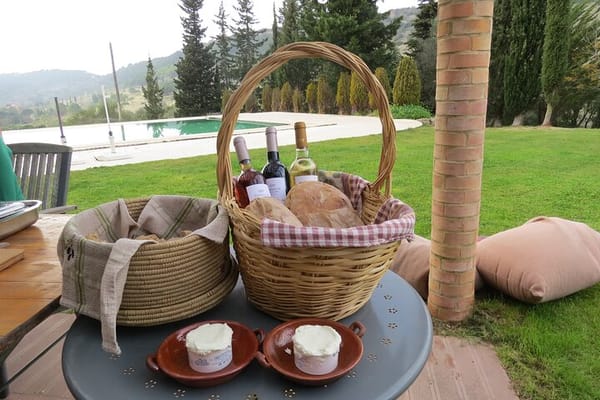 Small Group Wine, Bread & Cheese Experience with Farmhouse Lunch