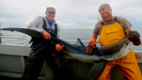 Deep sea angling from Cleggan. Galway. Guided.  6