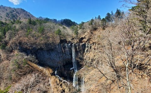 Nikko Private Tour Return by Bullet Train