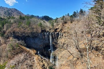 Nikko Private Tour Return by Bullet Train