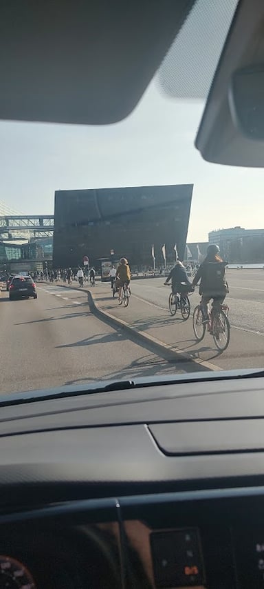 City, Nature & Cycling — Private Experience in Copenhagen 8