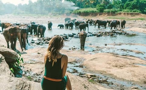 Kandy & Nuwara Eliya | 2 Days Tour