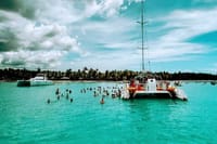 Excursión de un día a la Isla Saona desde Punta Cana con almuerzo 4