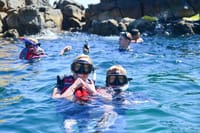 Cabo San Lucas Paddle Board & Snorkel Adventure to the Arch 10