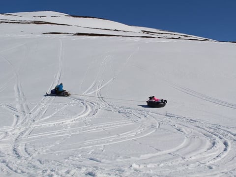 Snowmobile and slide Family tour, photo 2