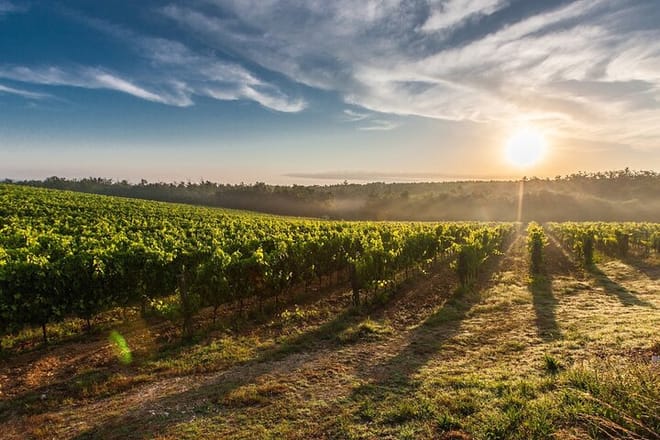 Private Full-Day Surf & Wine Tour at Casa del Bosque 6