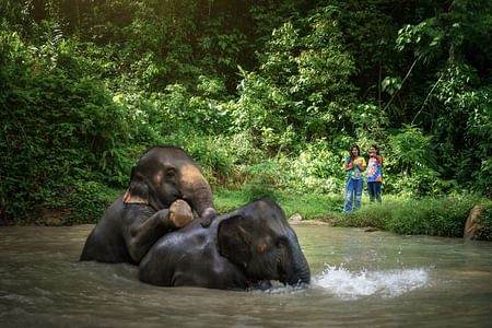 Phuket: Watch Me Experience