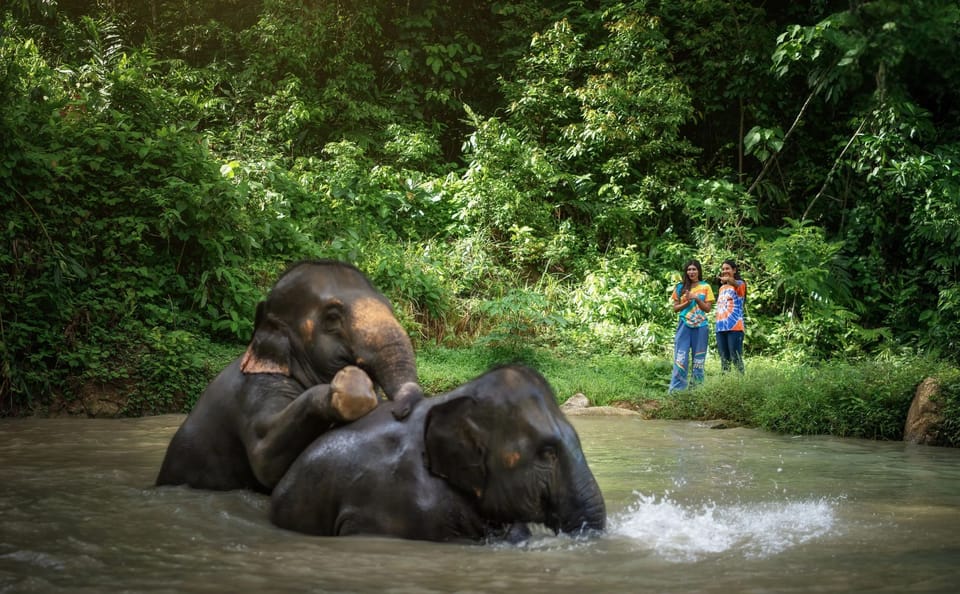 Half-Day Elephant Sanctuary Tour in Kathu, Phuket